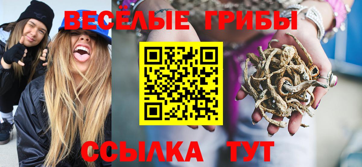 Галлюциногенные грибы ЛСД Прохладный